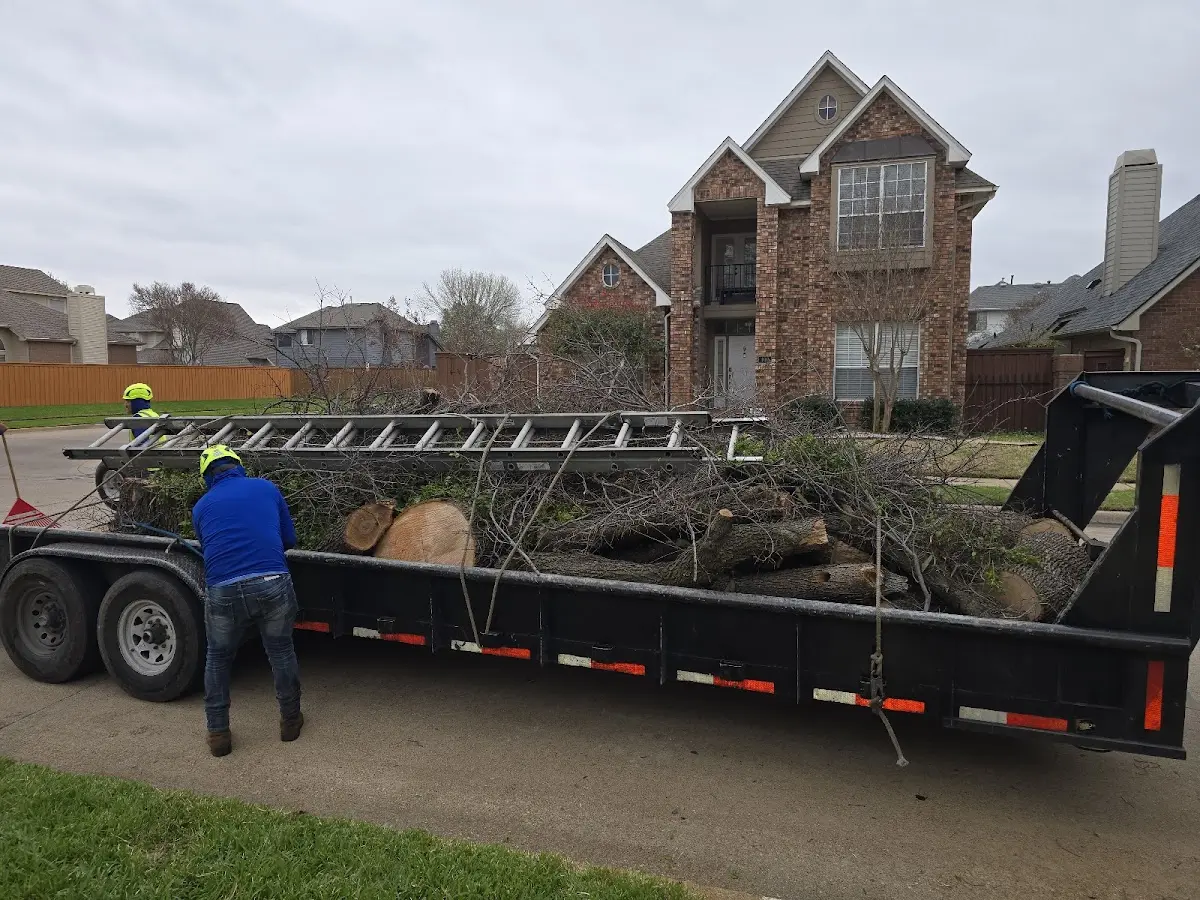 Expert Crown Reduction with proper safety equipment in Stayton